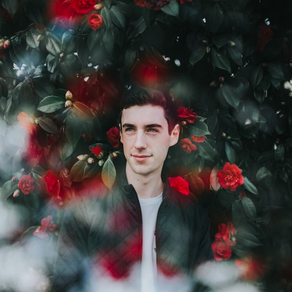 Stooding School finder